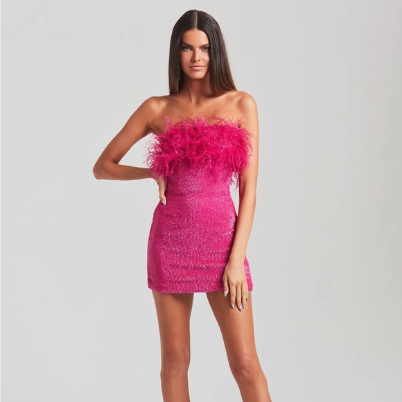 Retrofete Dresses & Skirts - NWT Retrofete Torin Feathered Mini Dress